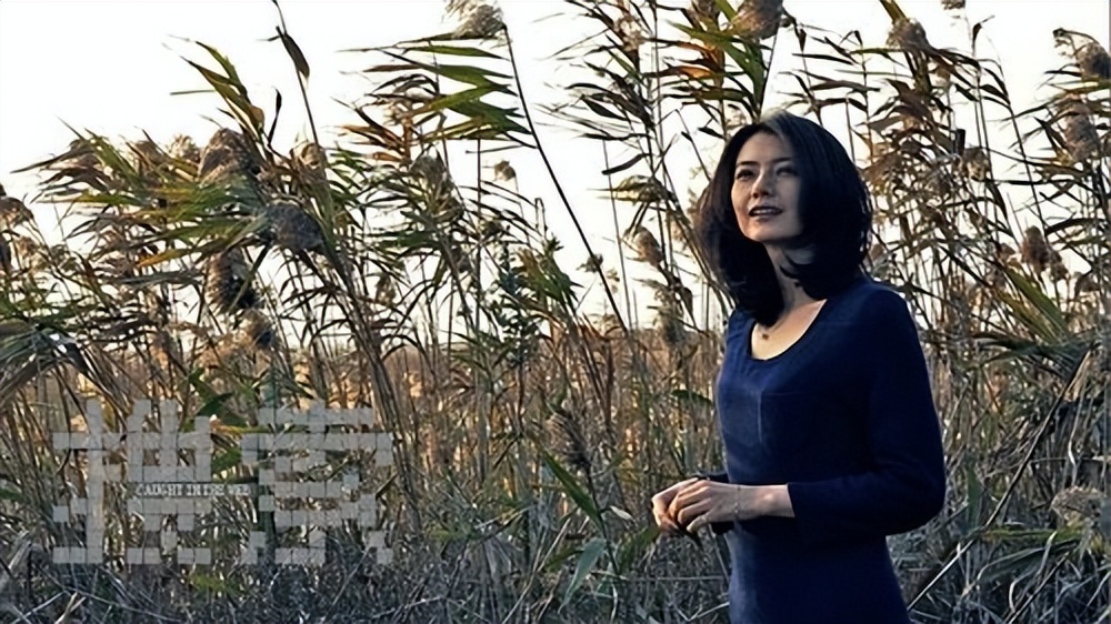 电影搜索引发的讨论,电影《搜索》评价