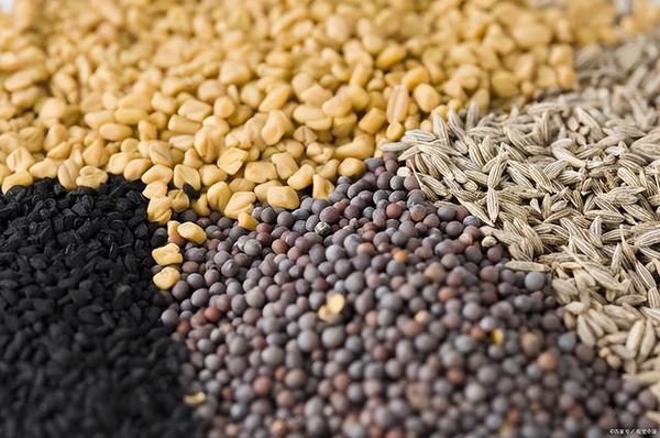 小麦危机最新消息,最新粮食危机概念股