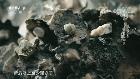 一口气八集!拿命换来的燃,果然是央视良心