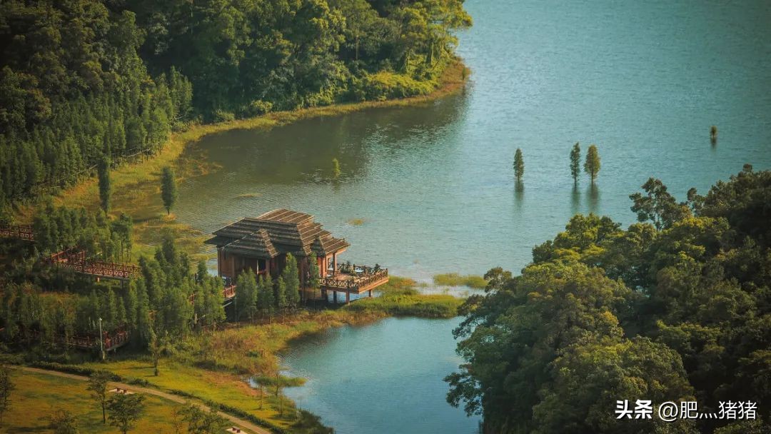 周润发刘德华感动视频,周润发惊呆大陆的视频