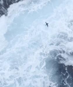 墨西哥农妇用菜刀自行剖腹产,墨西哥产妇照片
