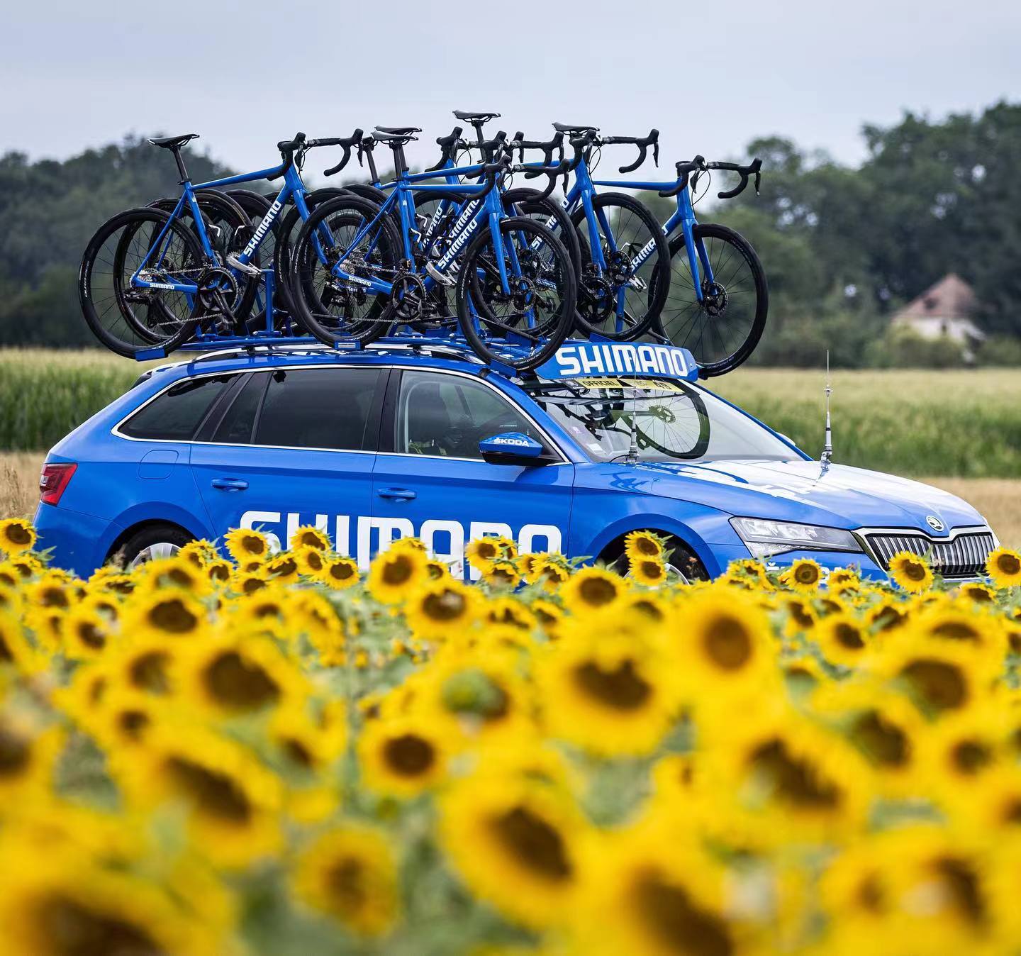 禧玛诺与速联哪个好,禧玛诺sora和速联哪个好