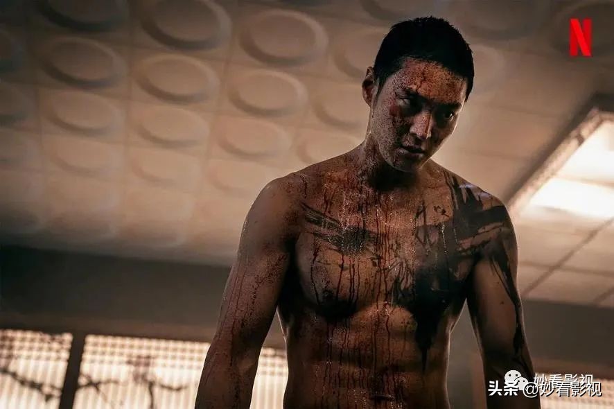 救命卡特2免费完整版在线观看,救命卡特在线观看高清免费完整版