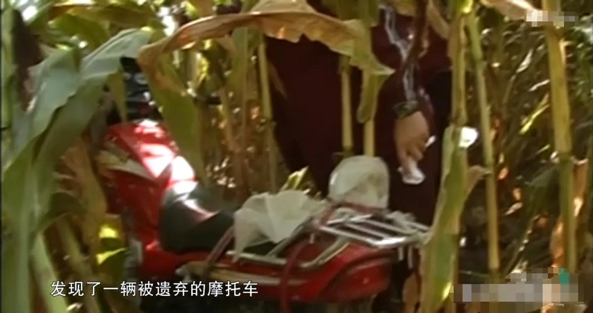 最猖狂的悍匪,黑龙江十大悍匪排行榜