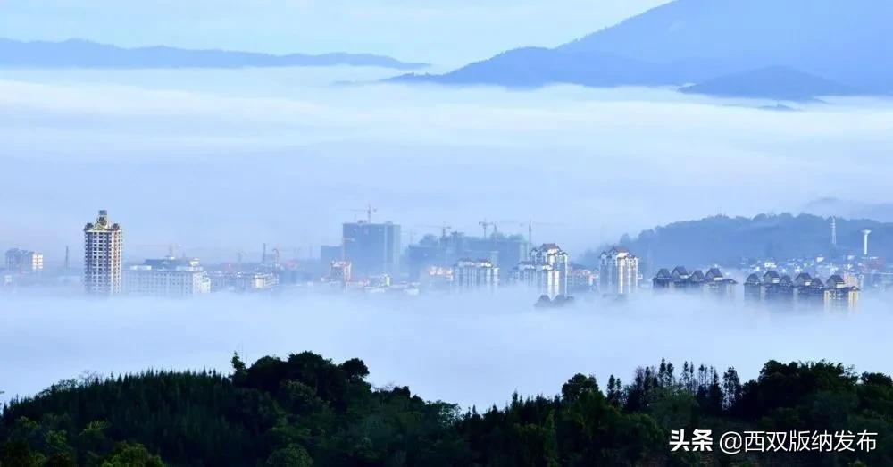 西双版纳勐海普洱茶乡,云南西双版纳勐海茗城