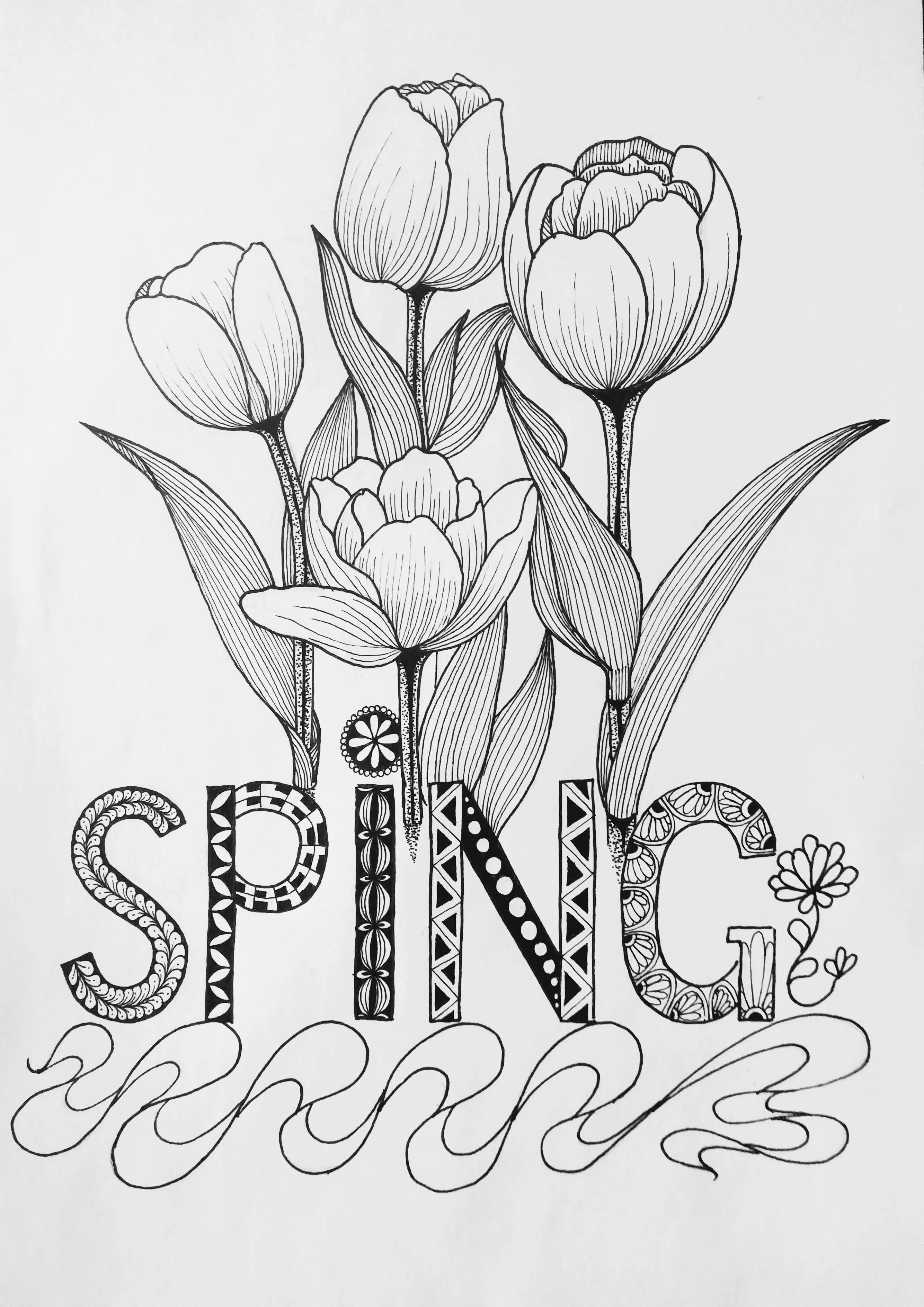 春天的郁金香绘画图片,线描画花朵简单又漂亮郁金香