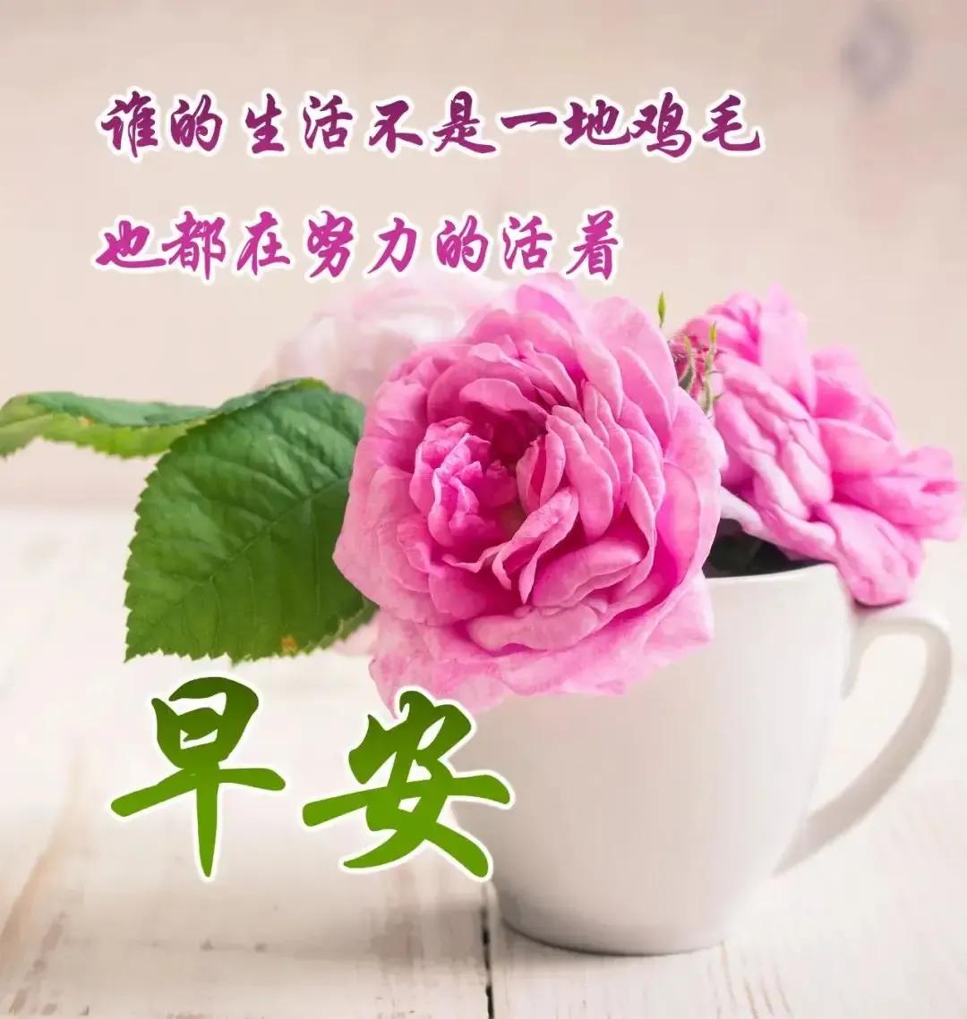 2023年农历是什么年癸卯年,农历2023年癸卯年正月结婚吉日