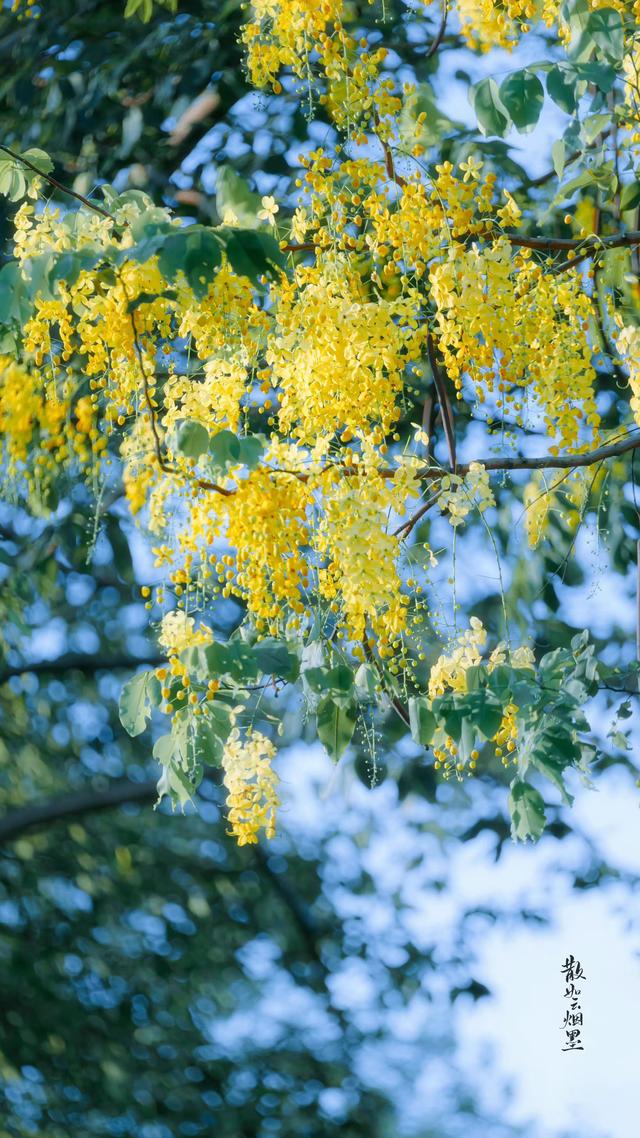 李商隐最有名的十首诗及情感,李商隐最经典的爱情诗