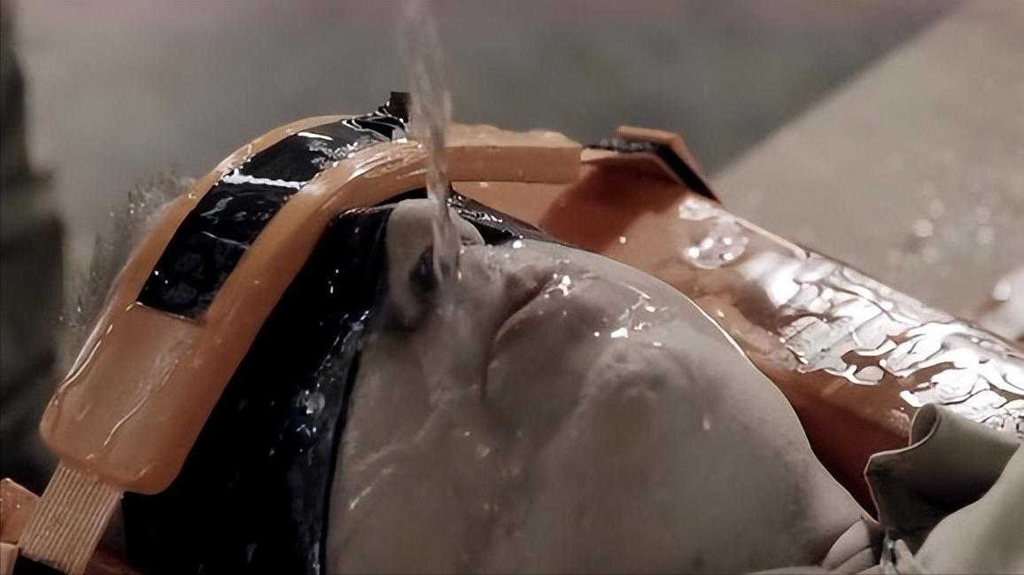 历史上真实存在过的十种酷刑,历史上十大酷刑