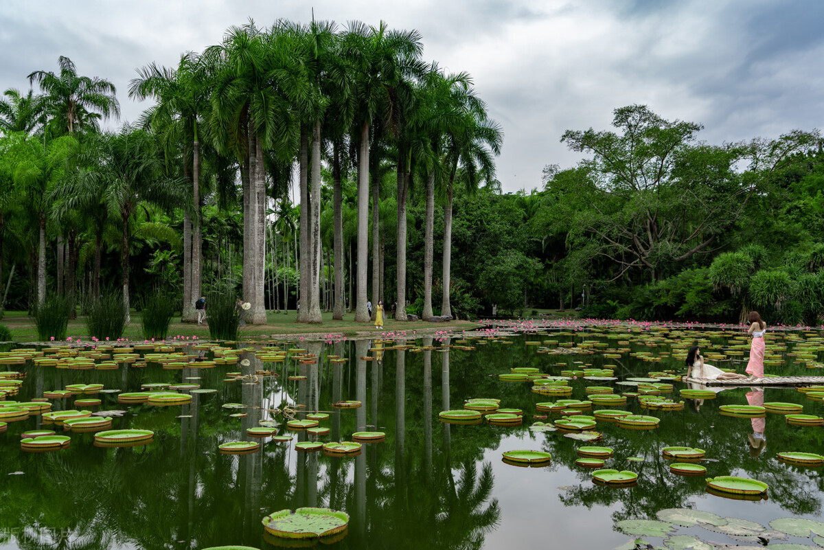 夏天自驾游最凉快的地方,旅游十大必去的地方中国夏天