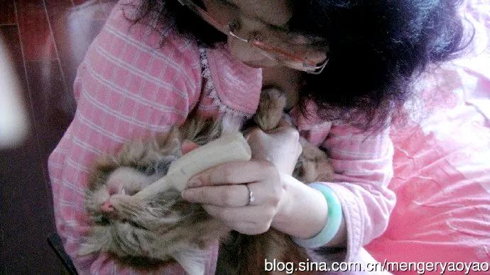 忧郁的毛毛小说,情缘伤感情歌