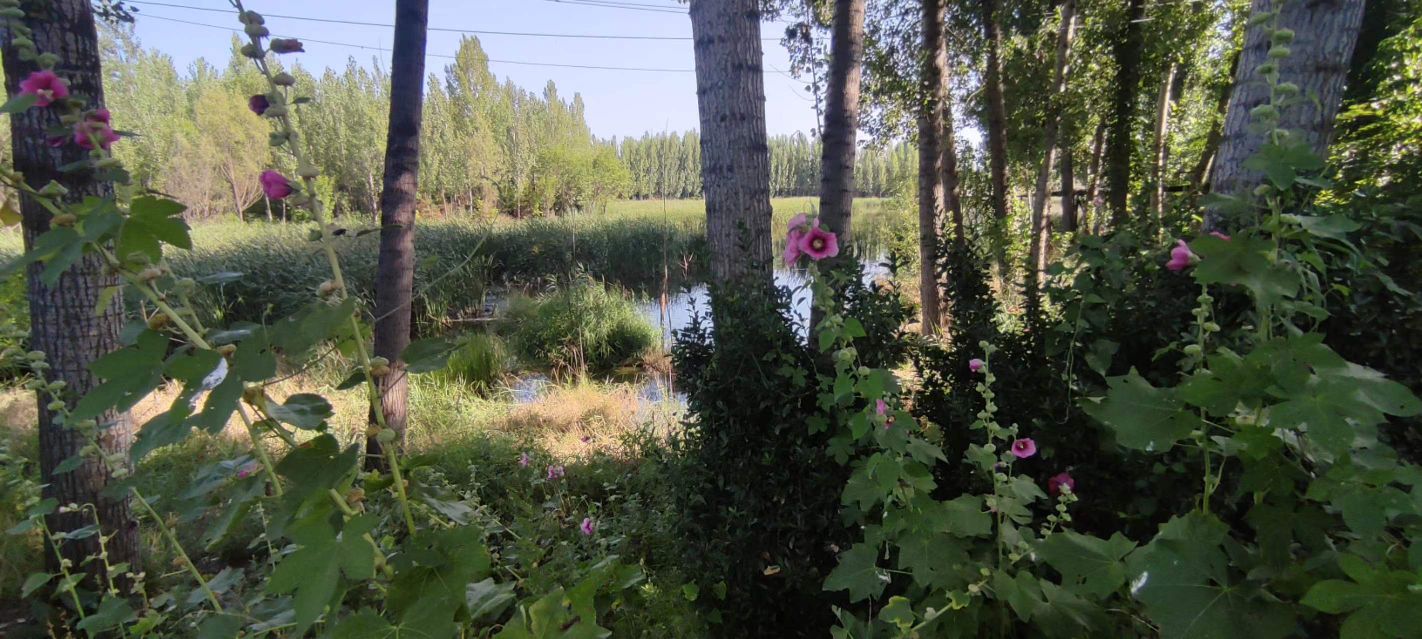 古中国考出彭蠡泽｜张笔魁