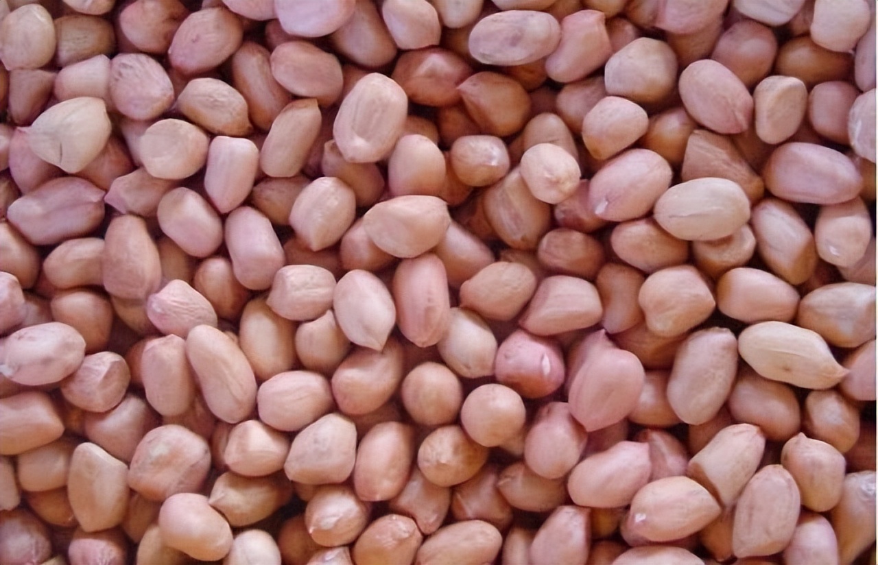 东北花生种植技术与管理方法,花育10号花生种植与管理