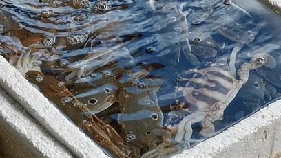 只知道来这儿买房，明明温泉这么好泡、海鲜这么好吃