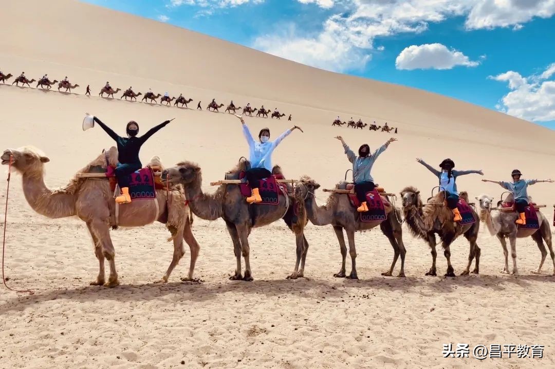 行走改变视界，视界提升境界丨研学系列之回龙观育新学校