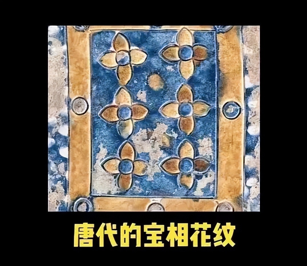 她的才华被严重低估,她好美剧目