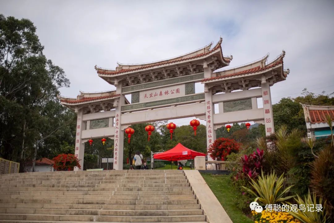 厦门天竺山森林公园旅游攻略,厦门天竺山森林公园步道