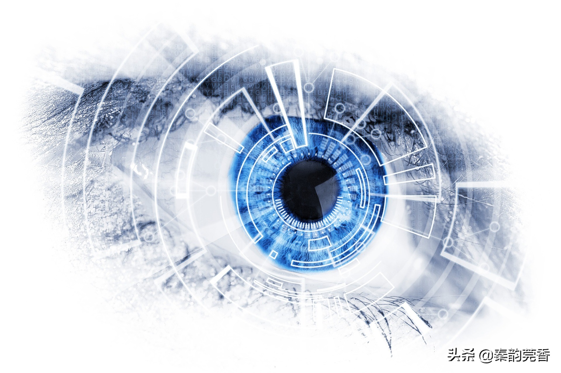 adobe为什么不开发系统,国内为什么没有adobe类似的软件