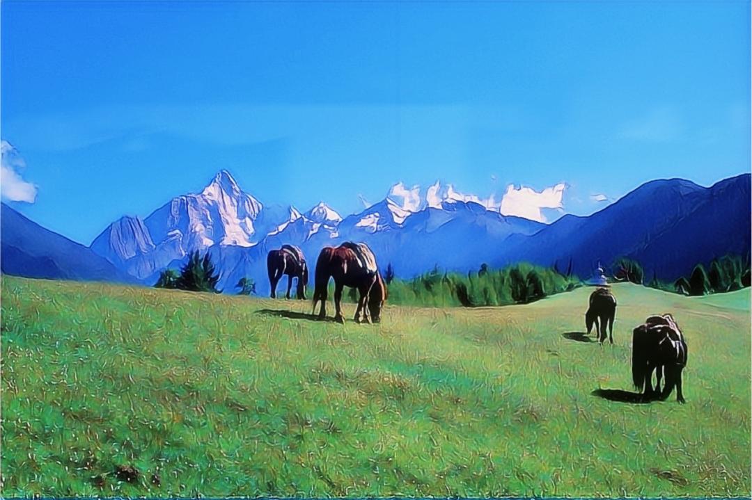 熊猫家园净土,净土阿坝熊猫家园logo