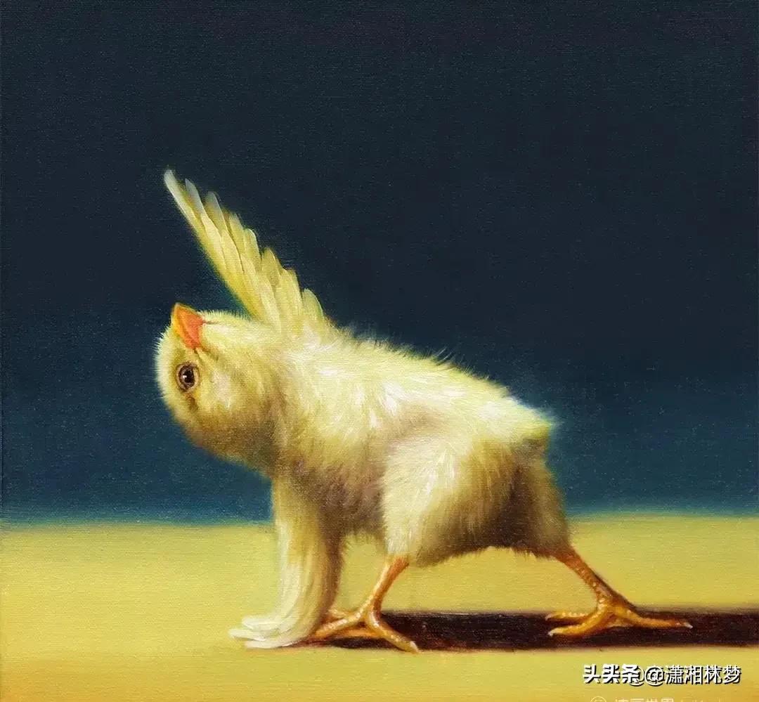 要如何涨粉才快,怎样快速涨粉涨关注