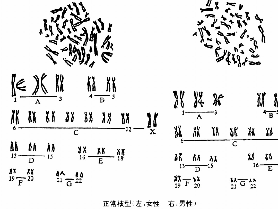 感染无药可救？烹煮杀不死的朊病毒，是上帝刻在基因的“禁令”？
