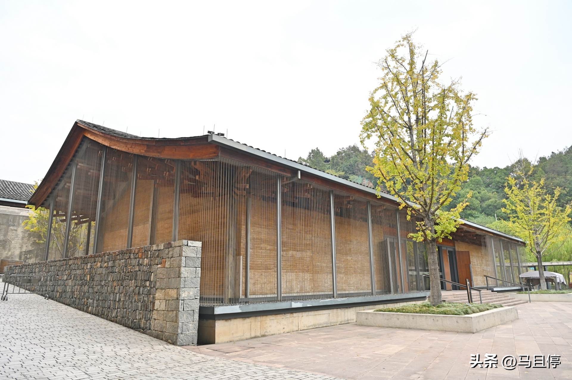 杭州旅游攻略赏秋超详细,11月杭州旅游的最佳地方