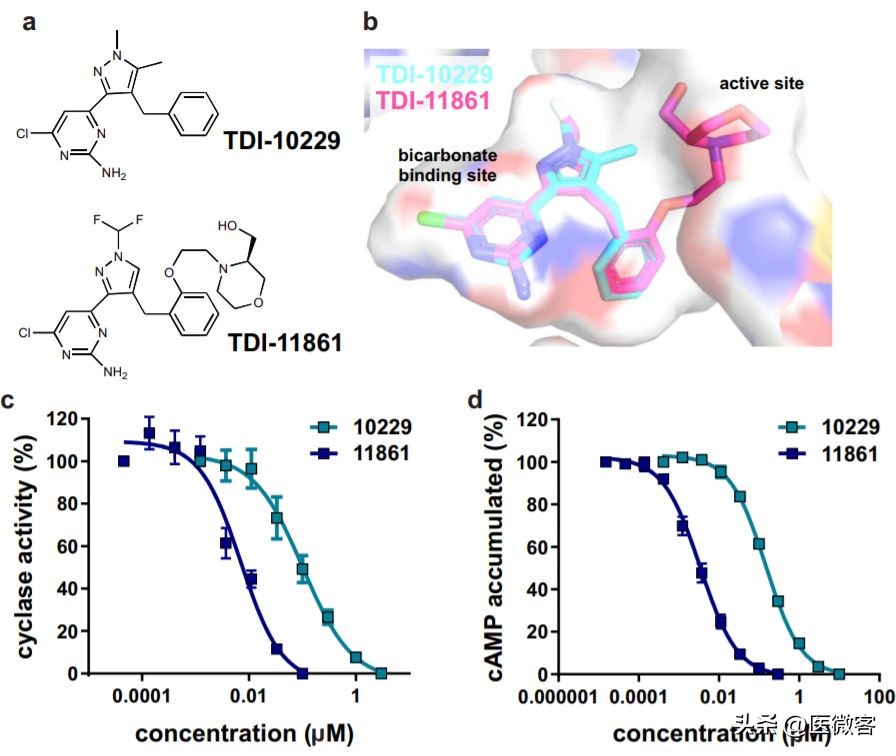快速避孕药多长时间有效,男性避孕药吃多久起效