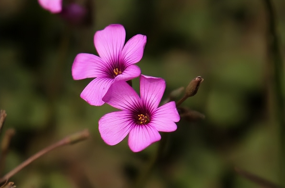 人在倒霉前这三件事会变得很顺,人在最倒霉的时候好运慢慢到