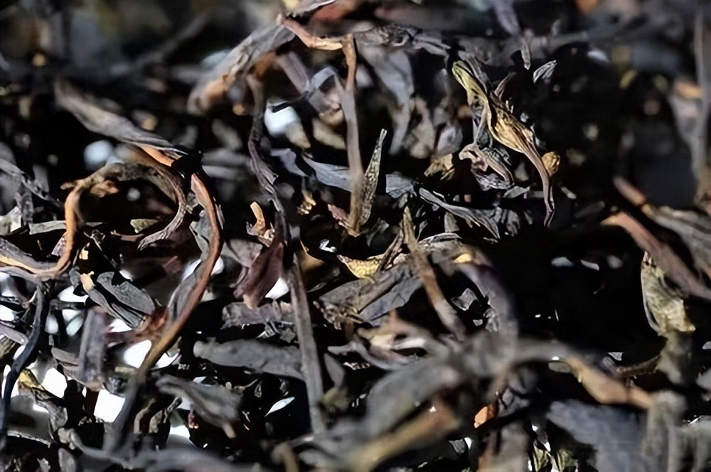 喝普洱茶相当于自杀?一口相当于闷了5亿霉菌?到底还能不能喝