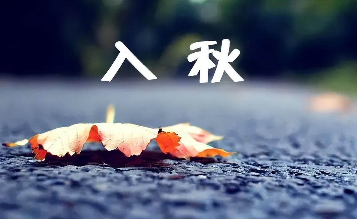 立秋后喝什么茶祛湿气,夏天喝什么茶清热解毒又不伤脾胃