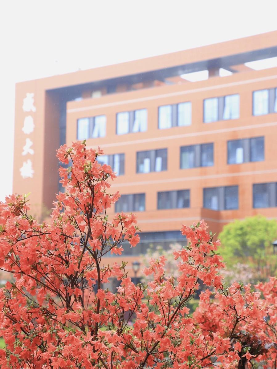 南昌大学第一附属医院象湖分院发展,南昌象湖第一附属医院周边规划