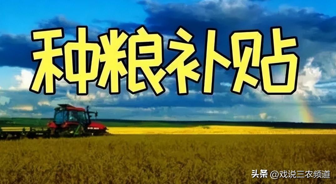 农民的种地补贴看看你能领多少,农民种地的补贴3月1号可以领了吗