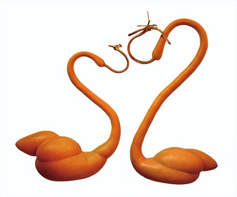 葫芦烙画传统非文化遗产,非物质文化遗产葫芦烙画山水