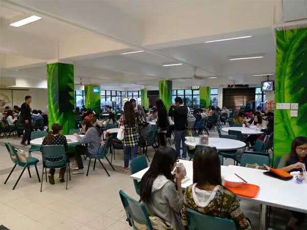 香港岭南大学读本科,香港岭南大学读研