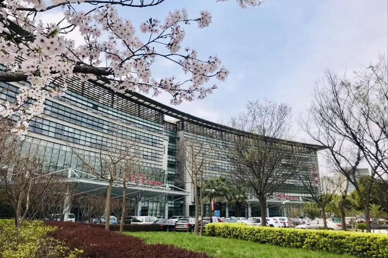 感冒和流感的症状和治疗方法,乙型流感病毒诊疗指南