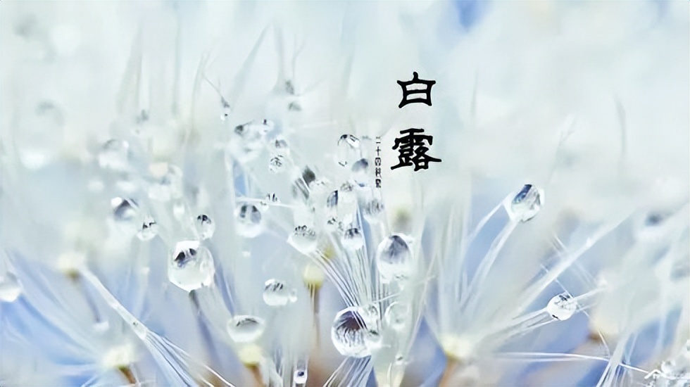 二十四节气之白露汉乐府,二十四节气之白露歌曲原唱