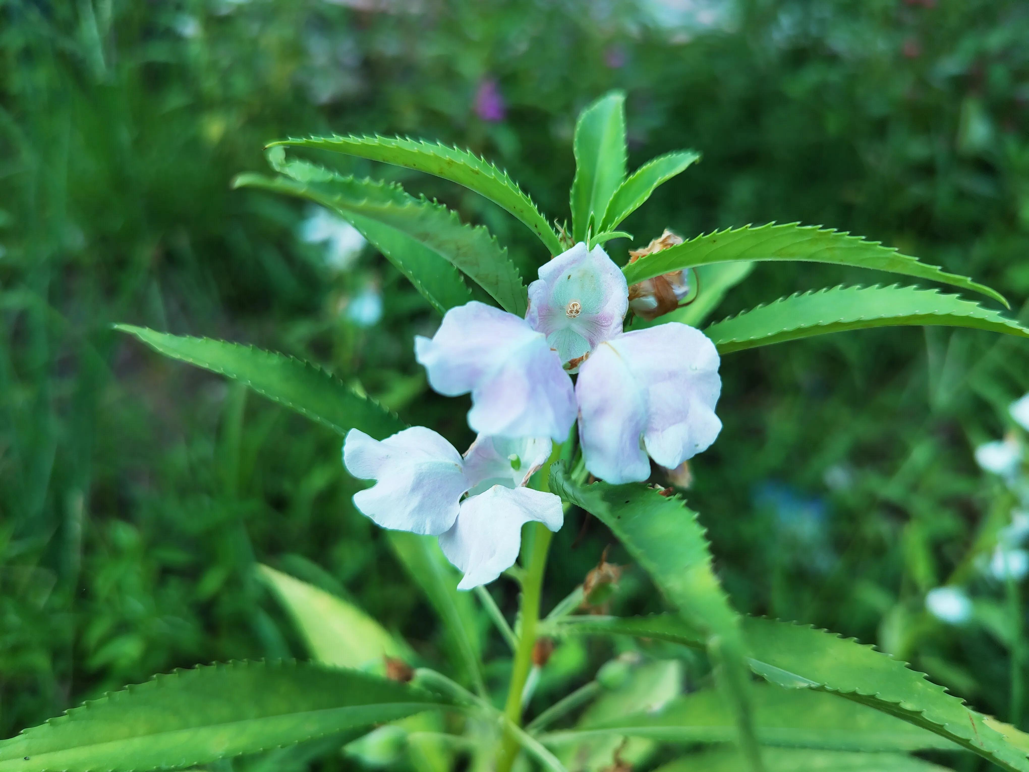 浅论财务风险管理,小白如何入门股票账户管理