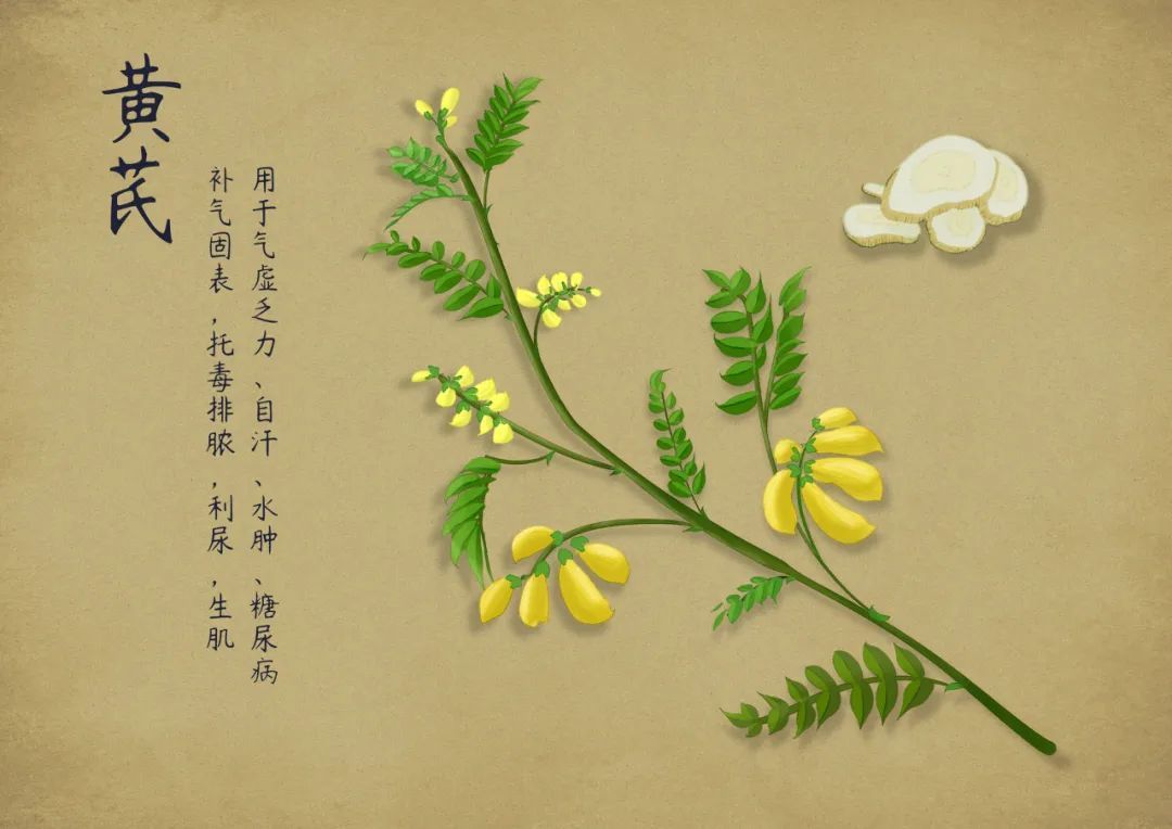 谷医堂:参芪口服液入选《新冠病毒感染者居家中医药干预指引》