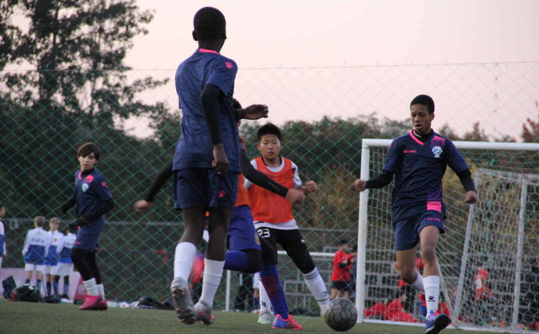 2022夏令营,2022夏令营价格表