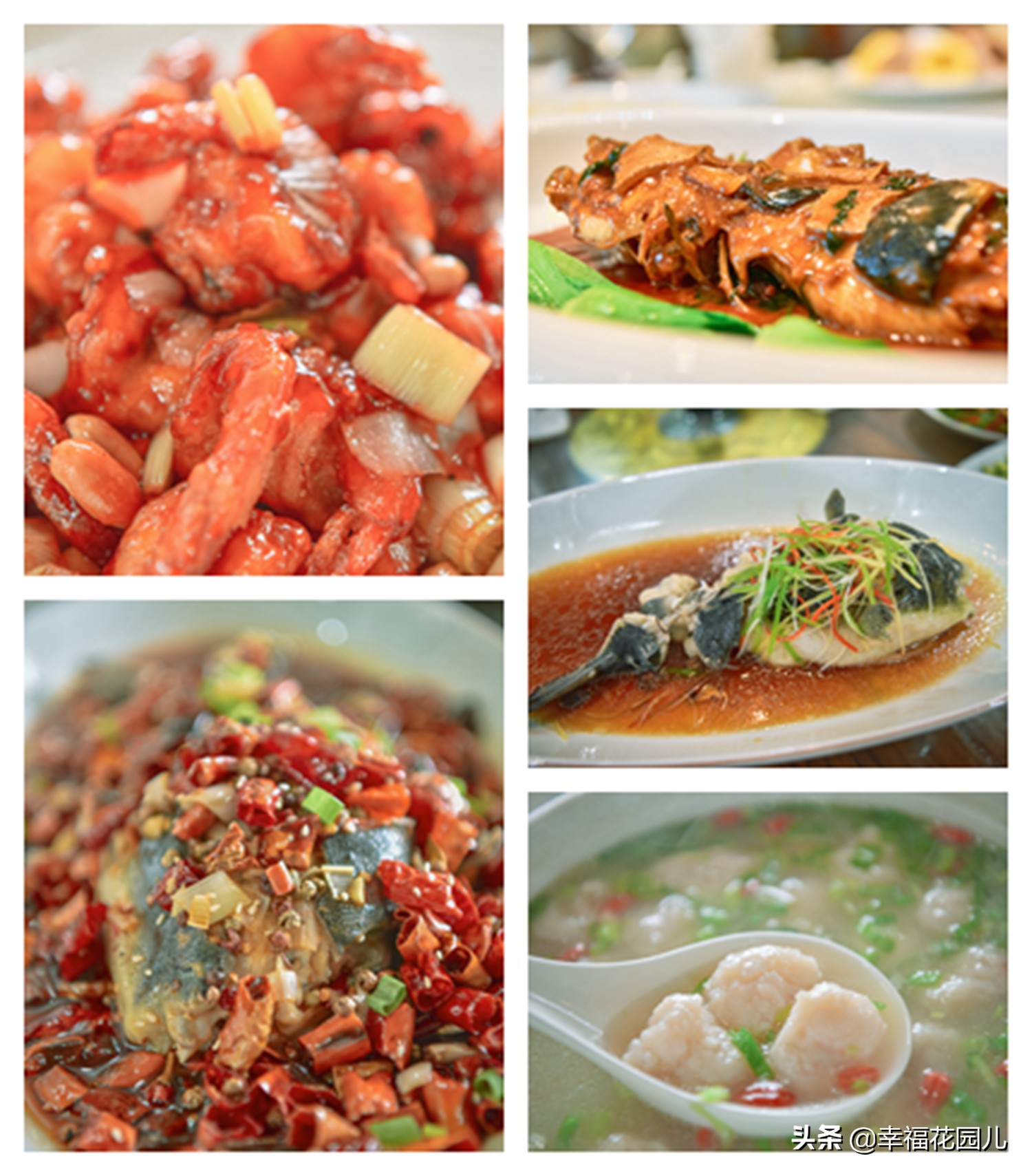 美味河豚有多金贵？养殖就有多娇贵！十里海河豚小镇探秘美食之源