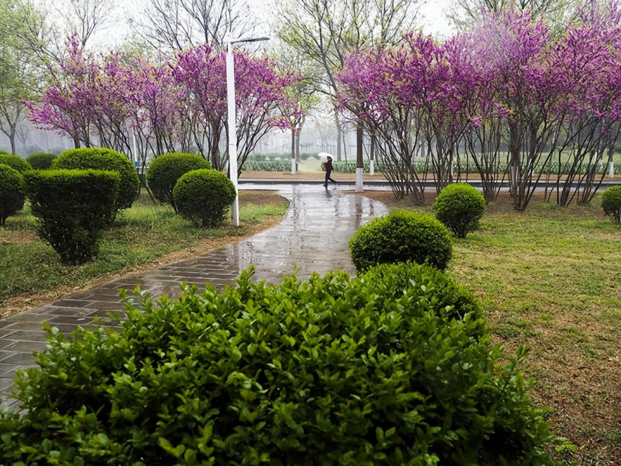 回顾我的摄影之路还在继续,分享我的摄影之路