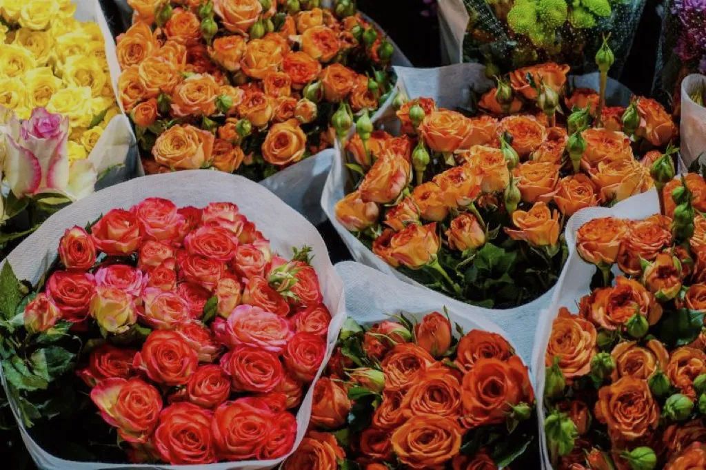 缇庣炕浜嗘祹鍗楁渶澶ч潰绉殑鐜夊叞鑺辨捣,娴庡崡瀹濊棌鑺卞崏甯傚満鎸囧崡