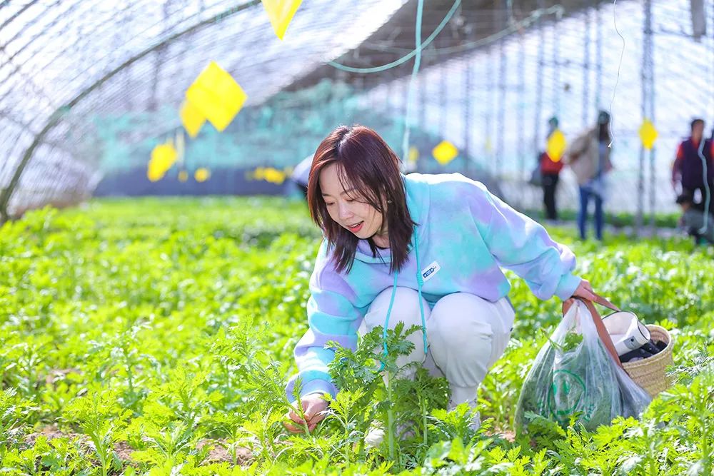 通汇资本投融资管理,通汇资本公司简介