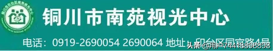 眼睛保护视力吃什么食物最好,吃什么食物可以保护眼睛视力
