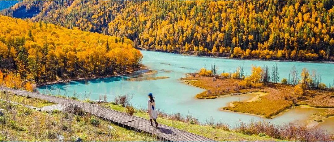 秋季喀纳斯,喀纳斯之秋风景画