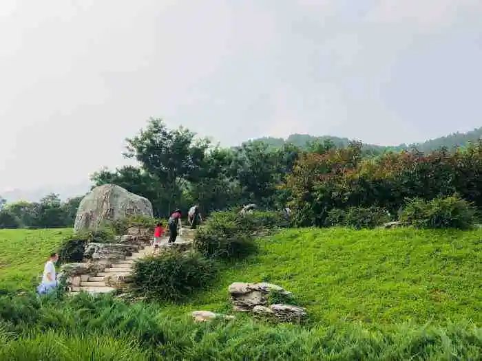 京郊步道旅游攻略,最惊艳的森林步道