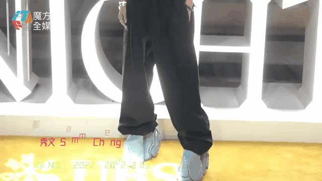 郑秀文陪跑七次终获金像奖影后,郑秀文大红大紫