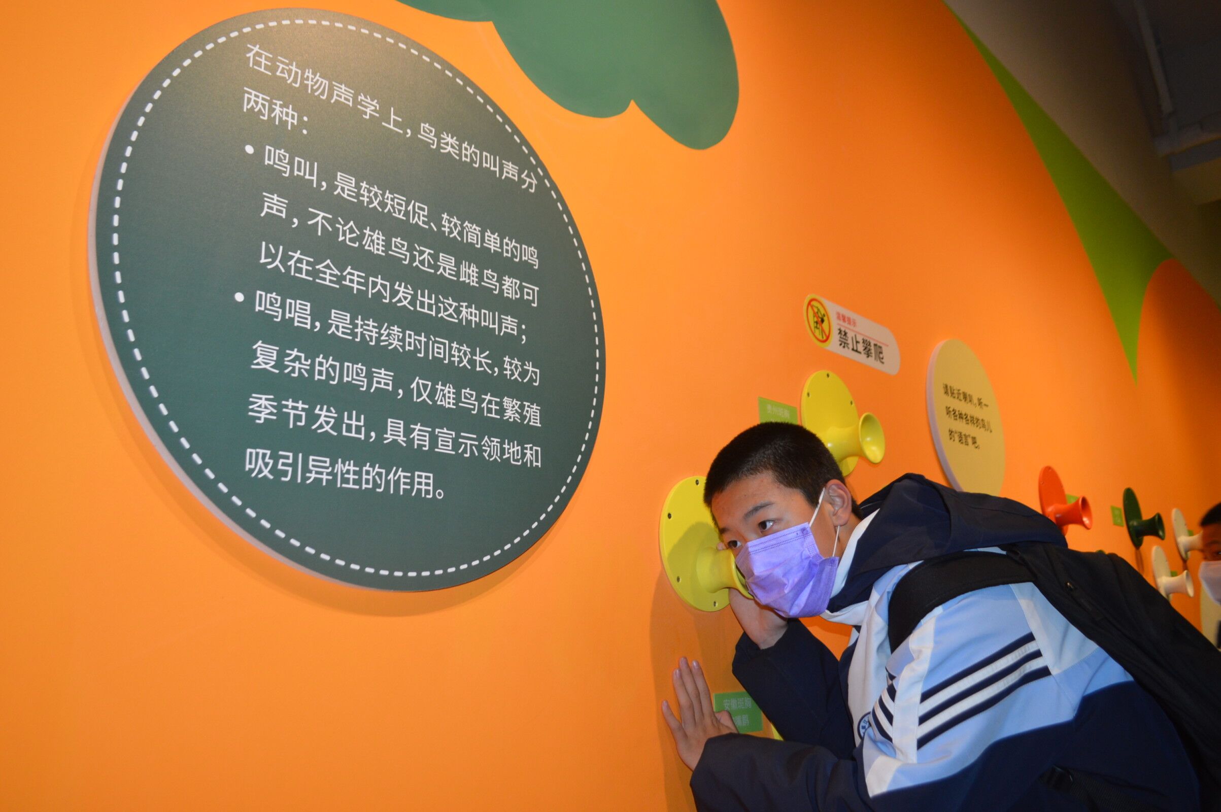 镇江实验学校研学活动,镇江科技实验小学