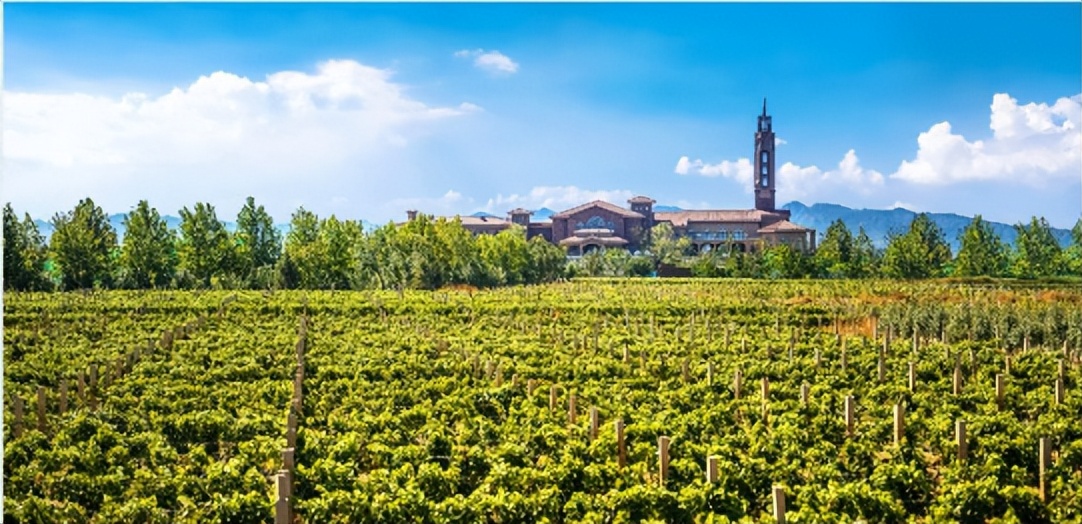 张家口鸿坤葡萄酒小镇推荐,鸿坤葡萄酒小镇现状