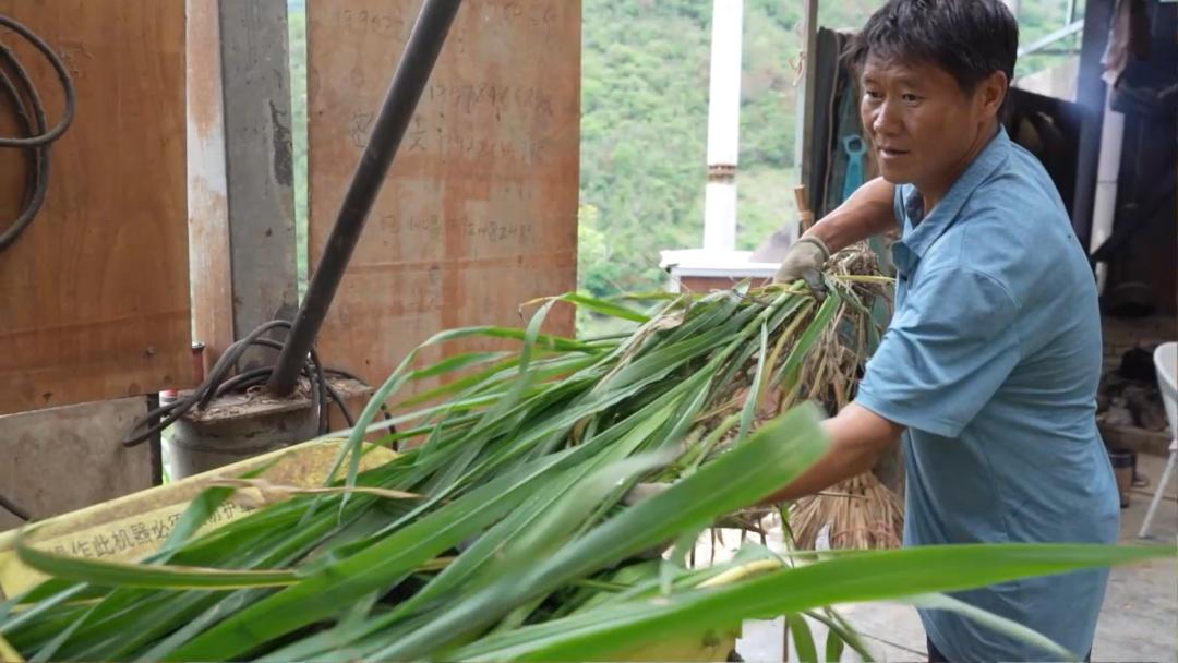 乡村振兴|李学荣:回乡创业,养牛过上“牛”日子